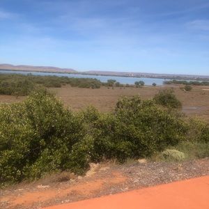 Meet your Posher, Brenda